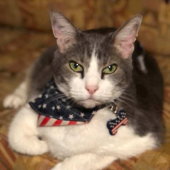 Meet your Posher, Lise - Picture 3 of 8